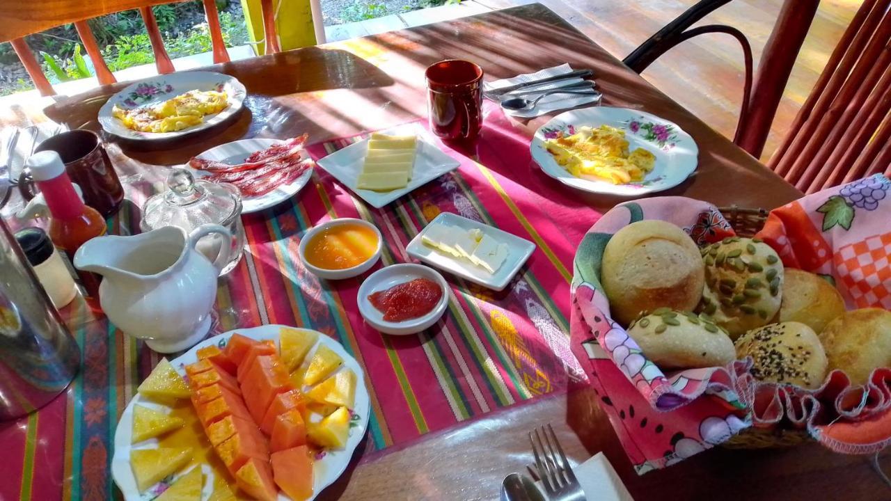 Sun Creek Lodge Punta Gorda Esterno foto