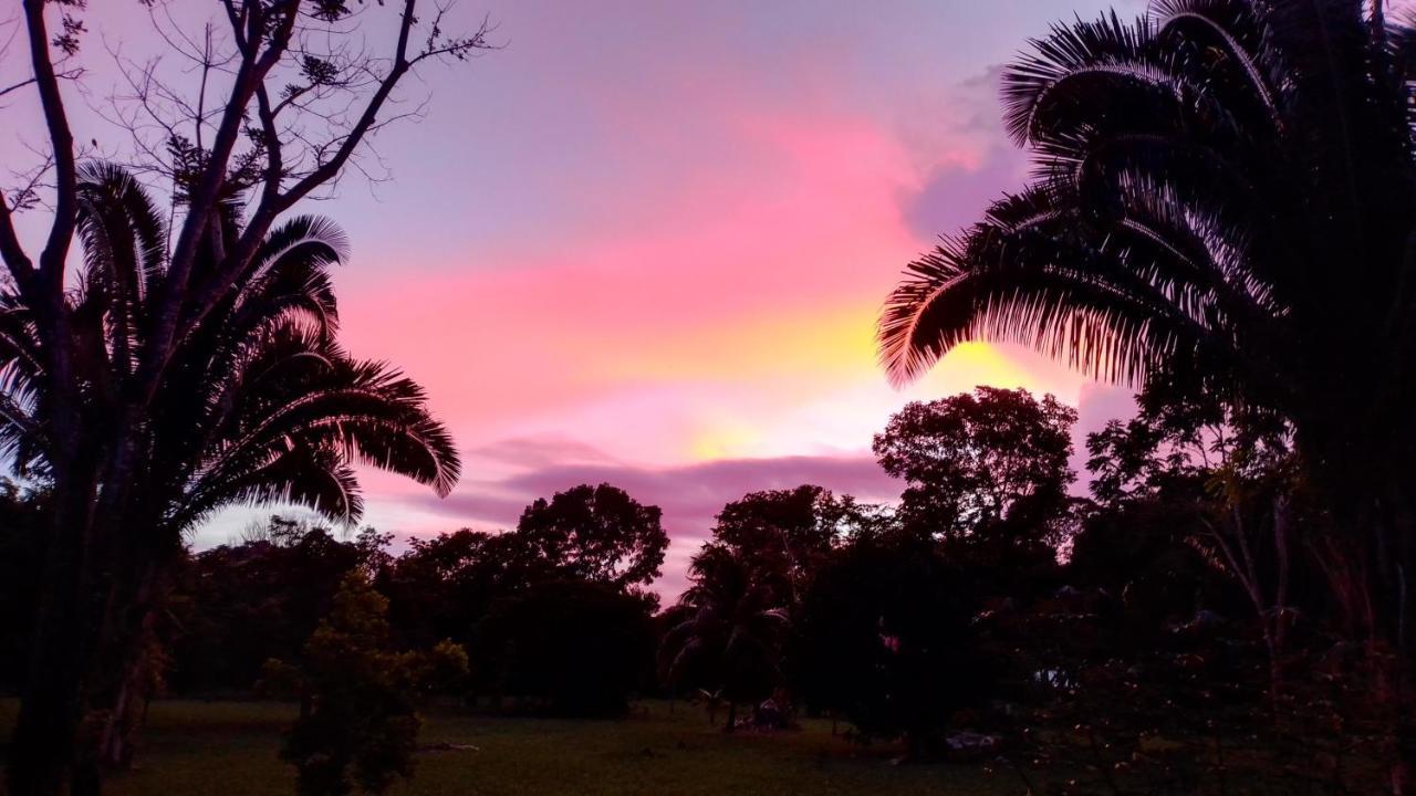 Sun Creek Lodge Punta Gorda Esterno foto