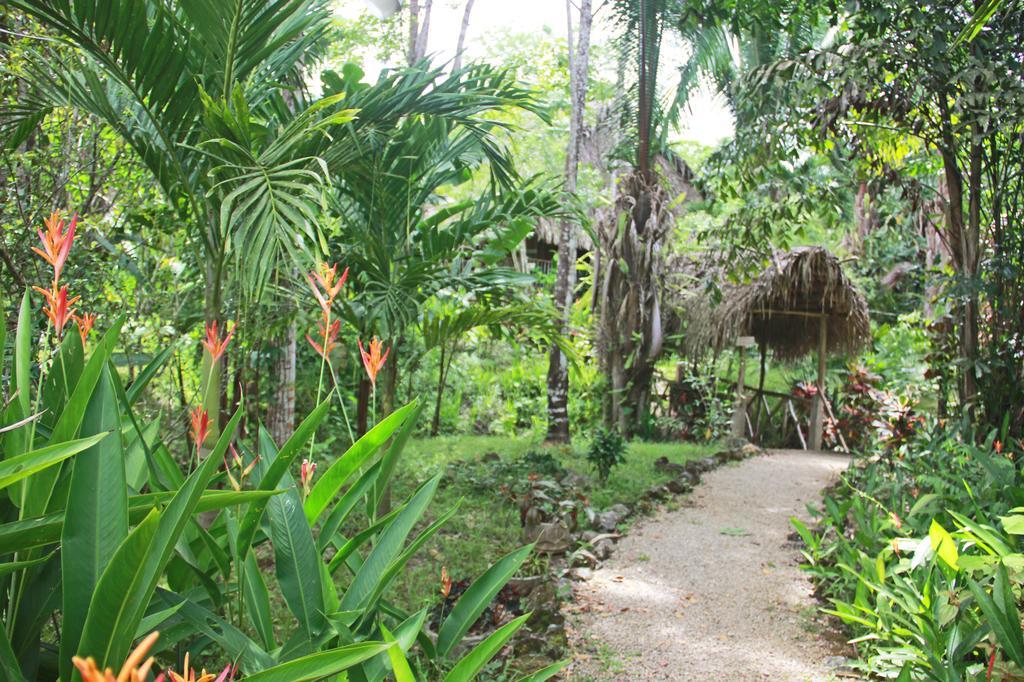 Sun Creek Lodge Punta Gorda Esterno foto