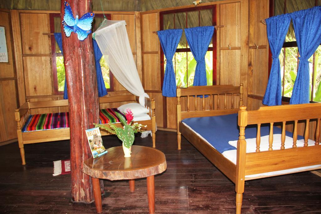 Sun Creek Lodge Punta Gorda Camera foto