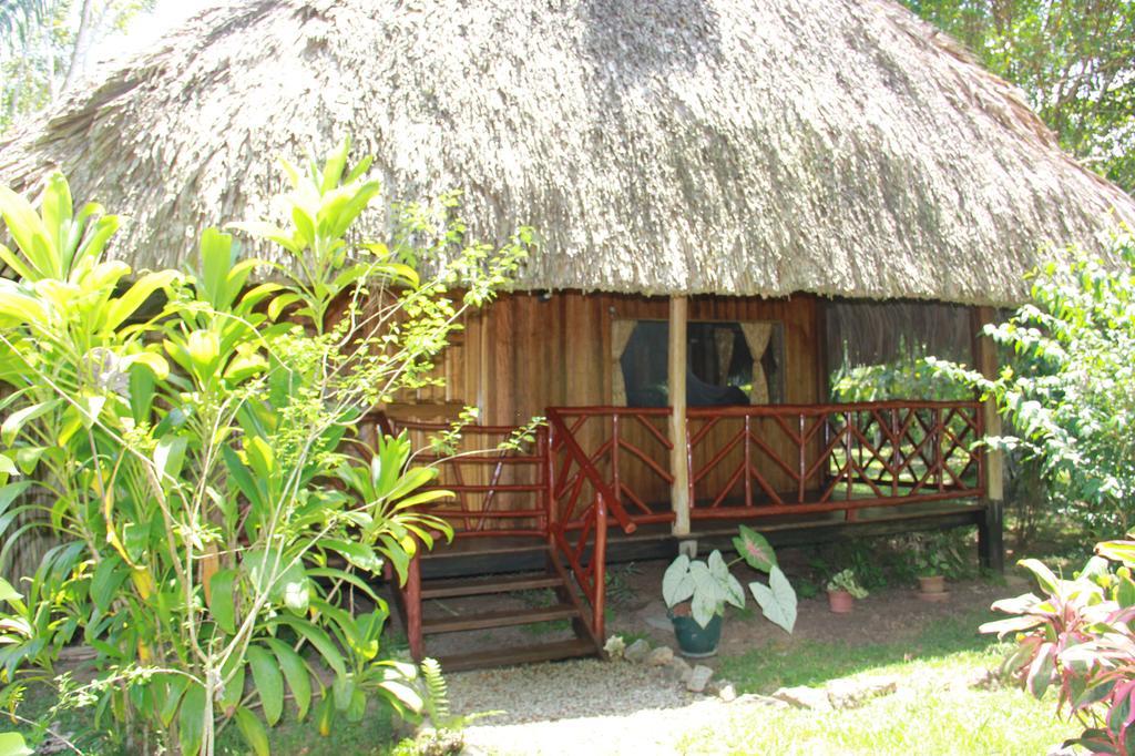 Sun Creek Lodge Punta Gorda Esterno foto