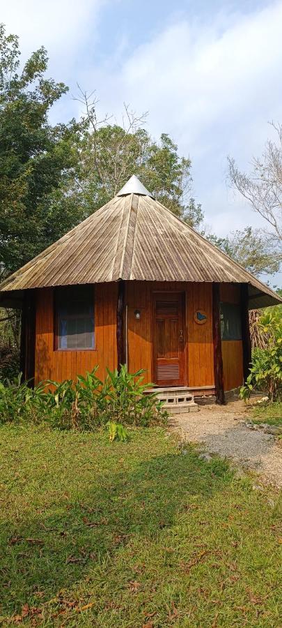 Sun Creek Lodge Punta Gorda Esterno foto