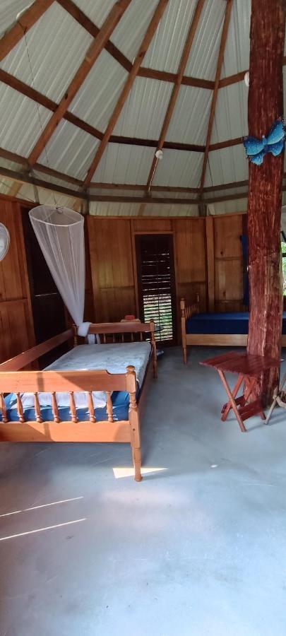 Sun Creek Lodge Punta Gorda Esterno foto