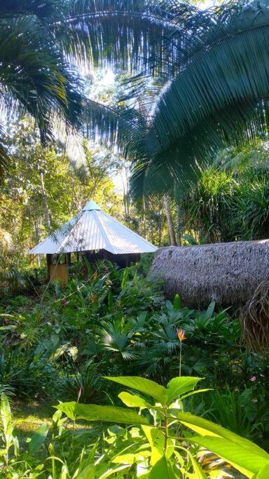 Sun Creek Lodge Punta Gorda Esterno foto
