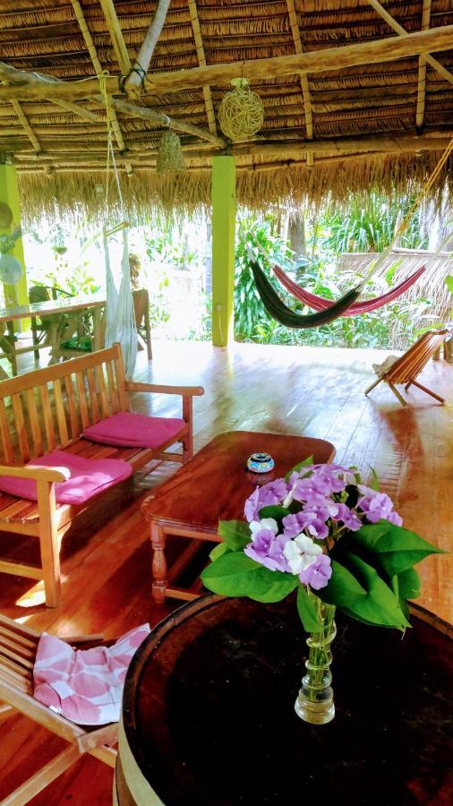 Sun Creek Lodge Punta Gorda Esterno foto