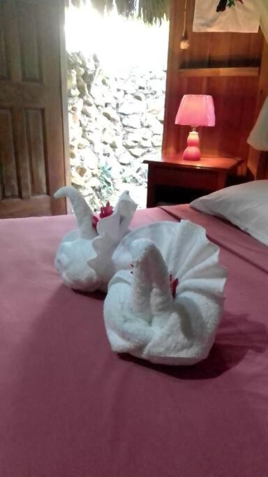 Sun Creek Lodge Punta Gorda Esterno foto