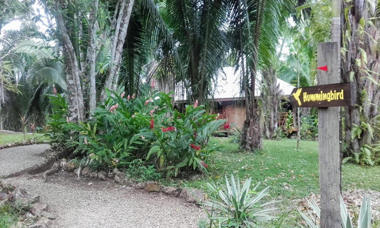 Sun Creek Lodge Punta Gorda Esterno foto