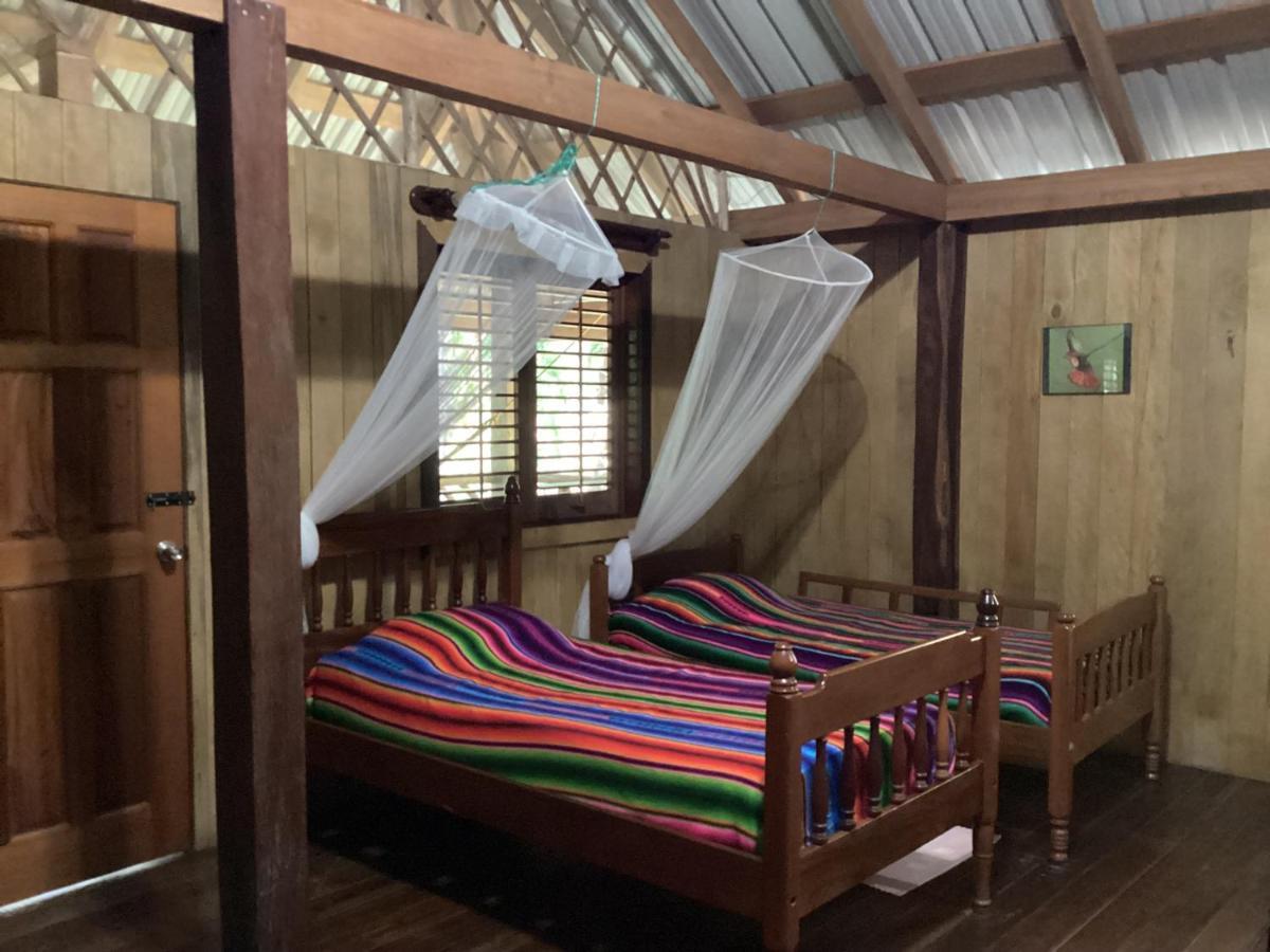 Sun Creek Lodge Punta Gorda Esterno foto