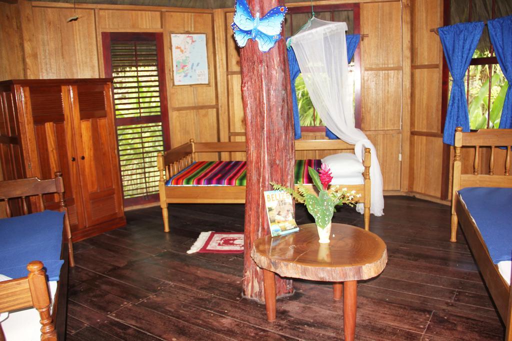 Sun Creek Lodge Punta Gorda Camera foto
