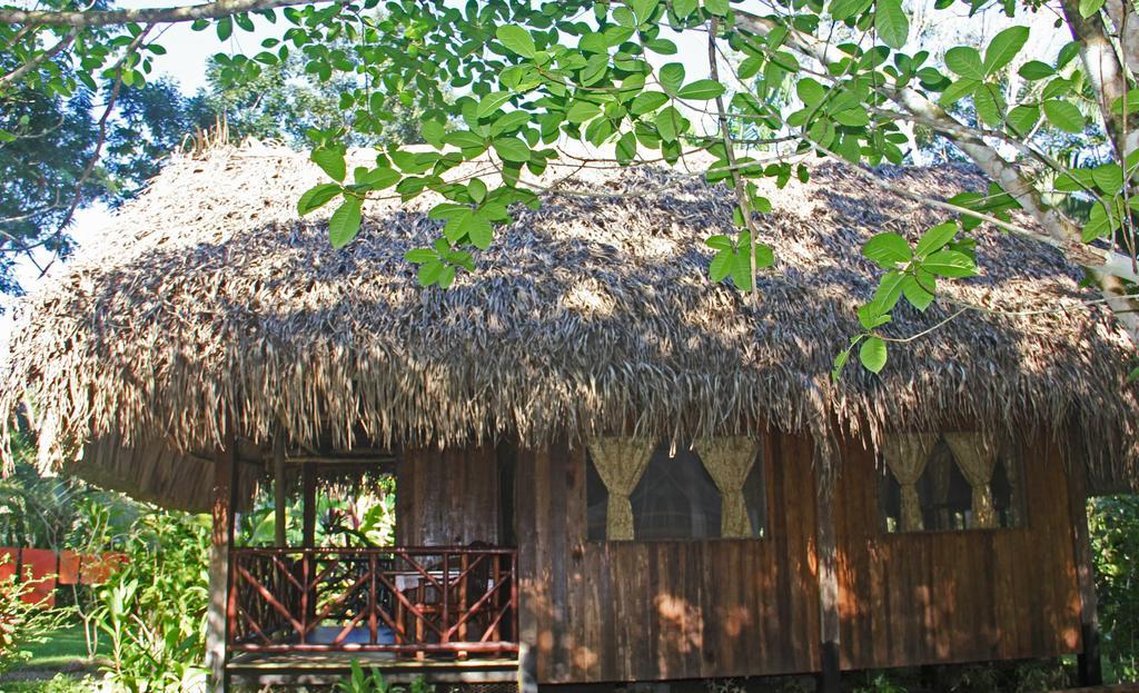 Sun Creek Lodge Punta Gorda Camera foto