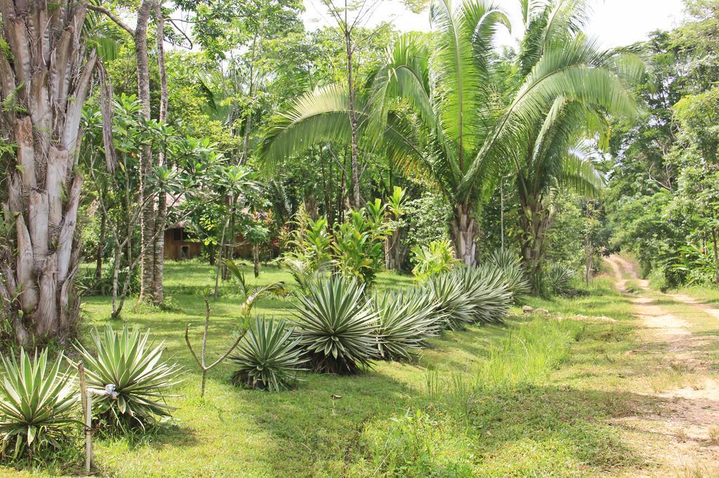 Sun Creek Lodge Punta Gorda Esterno foto