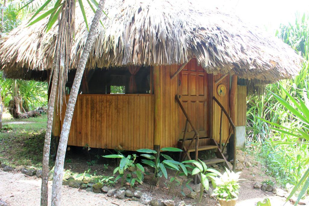 Sun Creek Lodge Punta Gorda Esterno foto