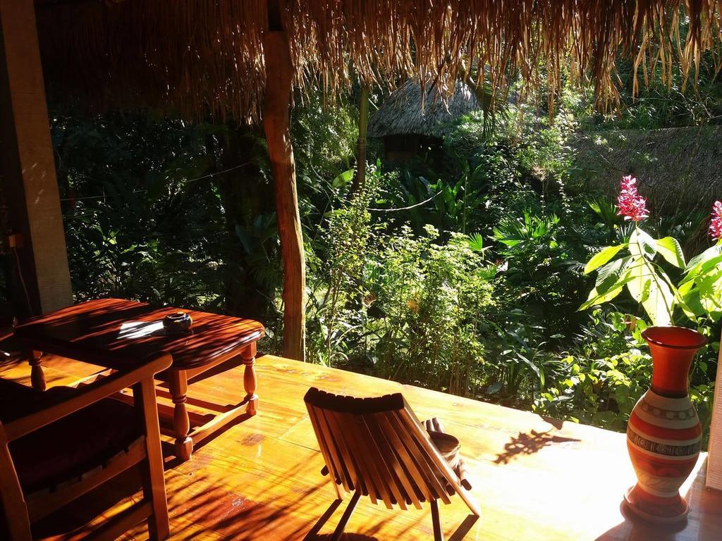 Sun Creek Lodge Punta Gorda Esterno foto