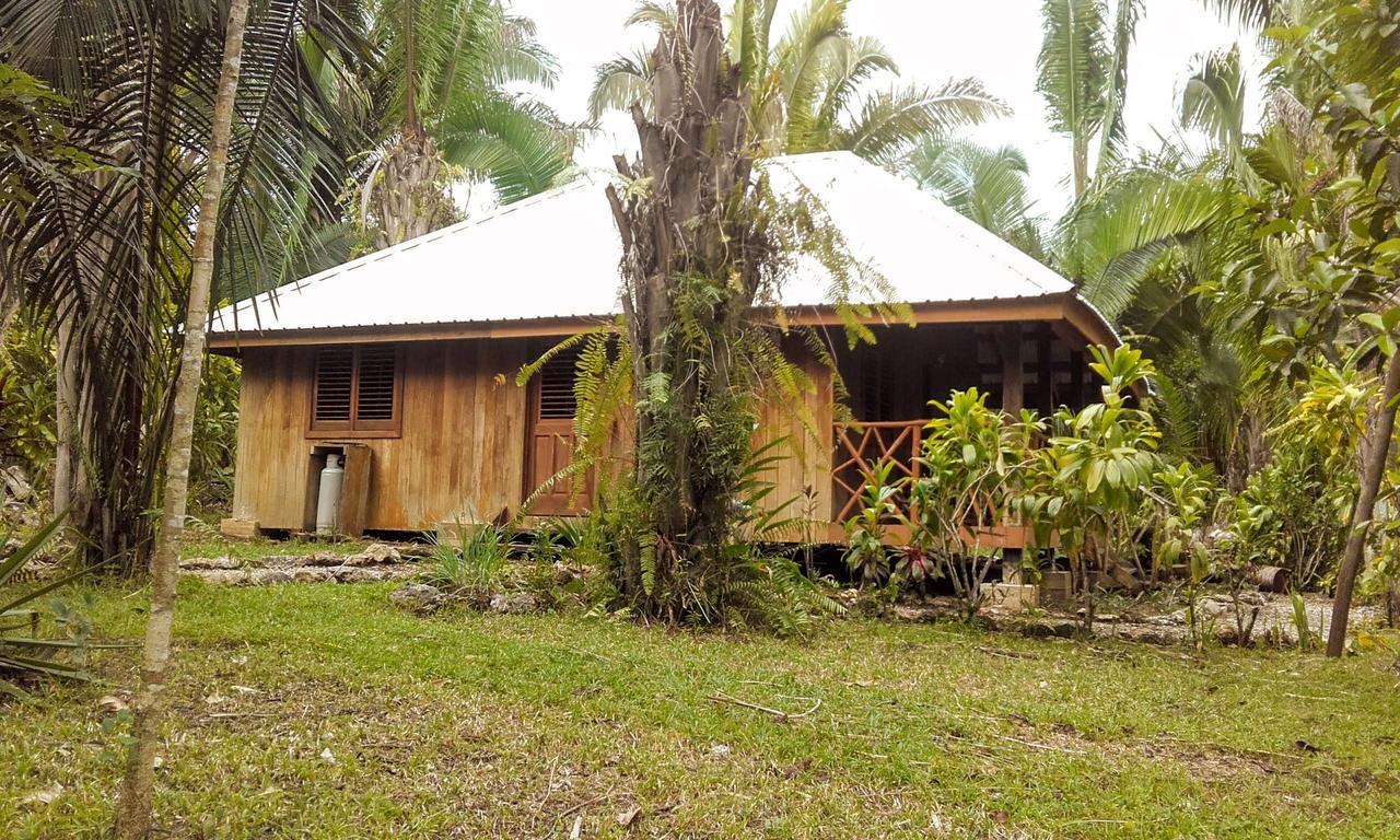 Sun Creek Lodge Punta Gorda Esterno foto