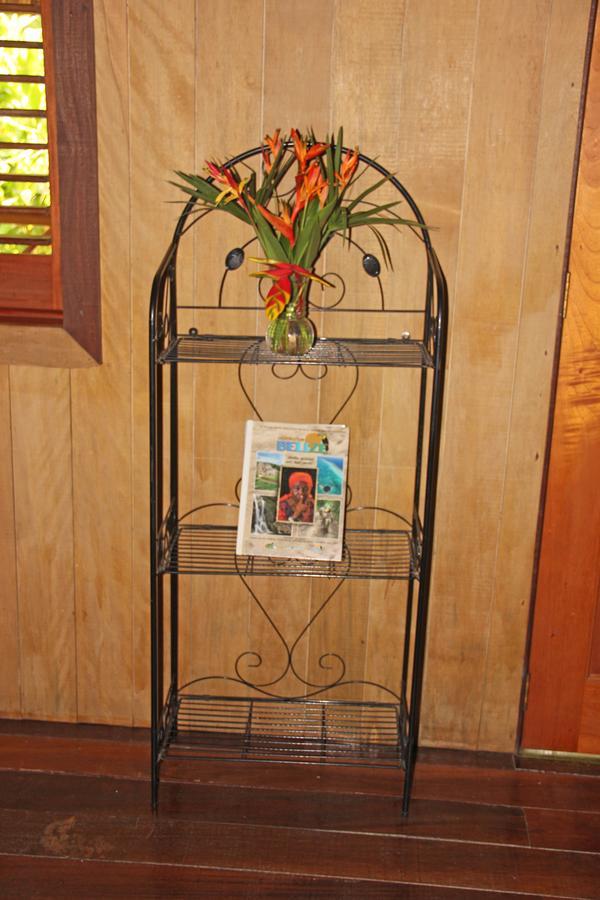 Sun Creek Lodge Punta Gorda Esterno foto