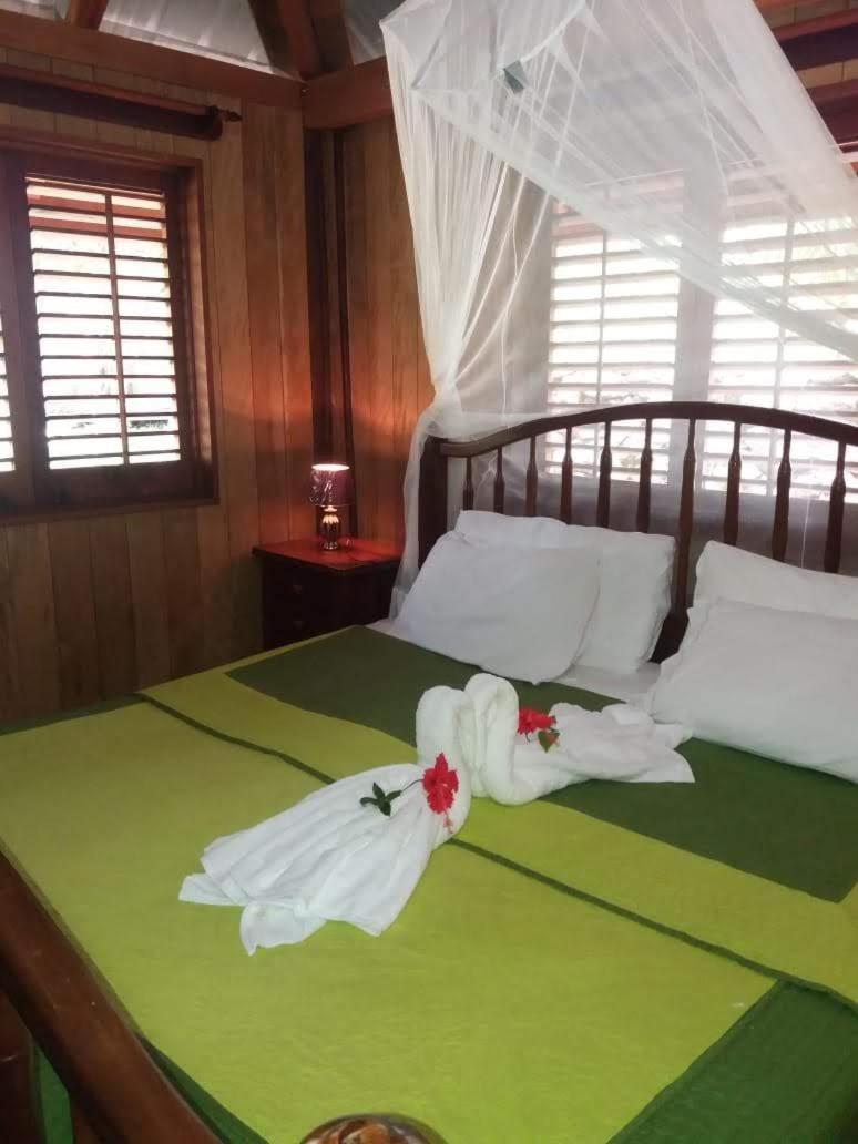 Sun Creek Lodge Punta Gorda Esterno foto