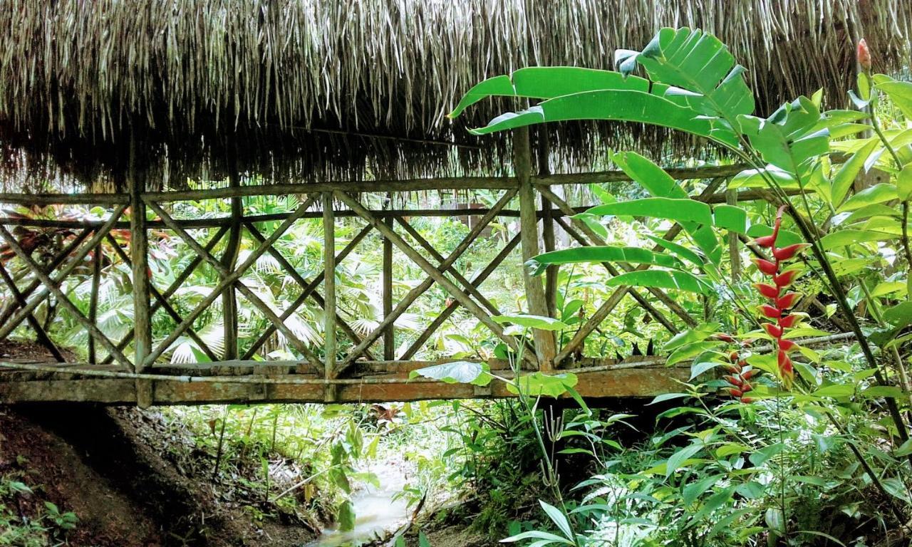 Sun Creek Lodge Punta Gorda Esterno foto
