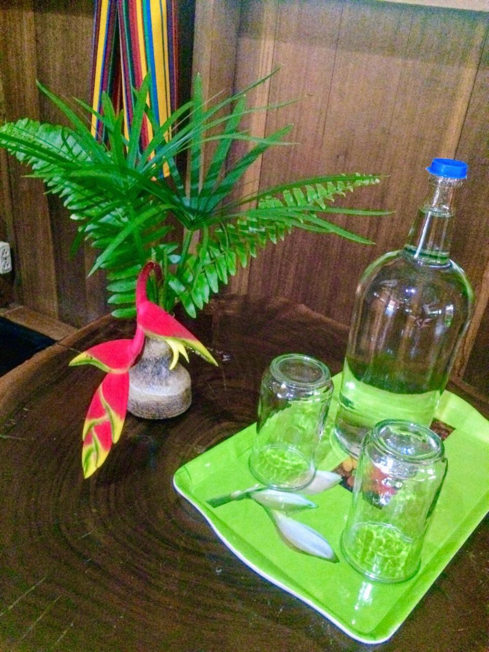 Sun Creek Lodge Punta Gorda Esterno foto